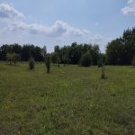 Продажа Участок Гябяля 9