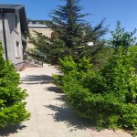 Kirayə (aylıq) 5 otaqlı Bağ evi, Mərdəkan, Xəzər rayonu 23