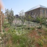 Satılır Torpaq, Fatmayi, Abşeron rayonu 1