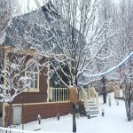Kirayə (günlük) 3 otaqlı Həyət evi/villa Qəbələ 2