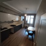 Kirayə (aylıq) 2 otaqlı Yeni Tikili, Saray, Abşeron rayonu 8