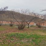 Продажа Участок Гябяля 2