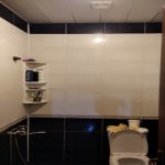 Kirayə (günlük) 4 otaqlı Həyət evi/villa Şamaxı 13