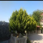 Kirayə (aylıq) 5 otaqlı Bağ evi, Goradil, Abşeron rayonu 22