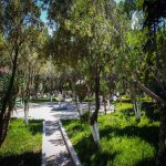 Satılır Mini otel / Xostel, Lökbatan qəs., Qaradağ rayonu 24