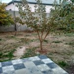 Satılır 4 otaqlı Həyət evi/villa Sumqayıt 22