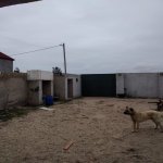 Satılır 3 otaqlı Həyət evi/villa, Koroğlu metrosu, Pirşağı qəs., Sabunçu rayonu 1