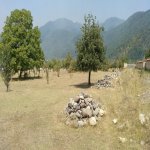 Satılır Torpaq Qəbələ 3