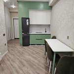 Аренда 2 комнатная Новостройка, м. 8 Ноябрь метро, Медицинский Университет, Насими район 9