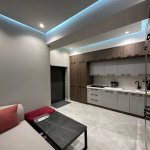 Kirayə (aylıq) 1 otaqlı Yeni Tikili, 28 May metrosu, Nəsimi rayonu 10