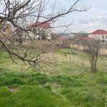 Satılır Torpaq, Qurd dərəsi rayonu 6