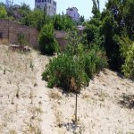 Продажа Участок, Новханы, Абшерон район 5