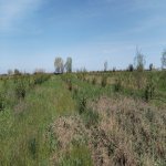 Продажа Участок Хачмаз 21