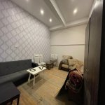 Kirayə (aylıq) 1 otaqlı Həyət evi/villa, 28 May metrosu, Nəsimi rayonu 3