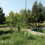 Satılır 3 otaqlı Bağ evi, Binə qəs., Xəzər rayonu 5
