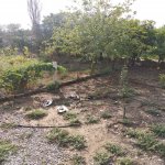 Satılır Torpaq, Binə qəs., Xəzər rayonu 3
