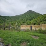 Satılır Torpaq Qəbələ 1