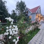 Kirayə (günlük) 4 otaqlı Həyət evi/villa Qəbələ 3
