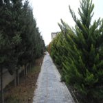 Satılır 6 otaqlı Bağ evi, Nardaran qəs., Sabunçu rayonu 42