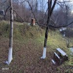 Продажа Участок Гябяля 8