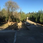 Satılır Torpaq, Mərdəkan, Xəzər rayonu 4