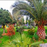 Kirayə (aylıq) 10 otaqlı Bağ evi, Mərdəkan, Xəzər rayonu 13