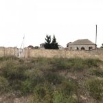 Satılır Torpaq, Novxanı, Abşeron rayonu 1