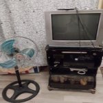 Kirayə (aylıq) 1 otaqlı Bağ evi Gəncə 2