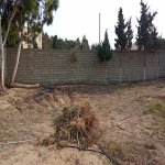 Satılır Torpaq, Mərdəkan, Xəzər rayonu 4