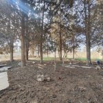 Satılır Torpaq, Fatmayi, Abşeron rayonu 7
