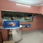 Kirayə (aylıq) Obyekt, Buzovna, Xəzər rayonu 3