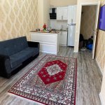 Kirayə (günlük) 2 otaqlı Yeni Tikili, 28 May metrosu, Nəsimi rayonu 6