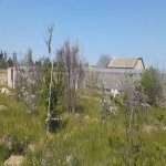 Satılır Torpaq, Novxanı, Abşeron rayonu 3