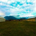 Satılır Torpaq Qəbələ 4