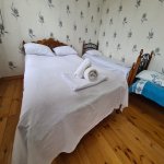 Kirayə (günlük) 3 otaqlı Həyət evi/villa Qəbələ 28