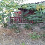Satılır 1 otaqlı Bağ evi, Pirşağı qəs., Sabunçu rayonu 12