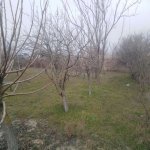 Satılır Torpaq, Abşeron rayonu 6