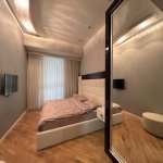 Kirayə (aylıq) 2 otaqlı Yeni Tikili, Sahil metrosu, Nəsimi rayonu 7
