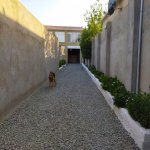 Kirayə (aylıq) 5 otaqlı Bağ evi, Mərdəkan, Xəzər rayonu 20