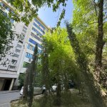 Satılır 5 otaqlı Köhnə Tikili, Azadlıq metrosu, Binəqədi rayonu 1