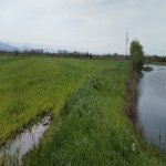 Продажа Участок Хачмаз 98