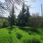 Satılır 4 otaqlı Həyət evi/villa Lənkəran 4