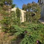 Kirayə (aylıq) 4 otaqlı Həyət evi/villa, Buzovna, Xəzər rayonu 19