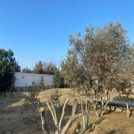 Satılır Torpaq, Şüvəlan, Xəzər rayonu 4