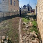 Satılır Torpaq, Məhəmmədli, Abşeron rayonu 3