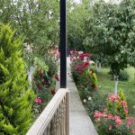 Kirayə (günlük) 4 otaqlı Bağ evi İsmayıllı 12