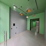 Kirayə (aylıq) Obyekt, 28 May metrosu, Qış parkı, Nəsimi rayonu 2