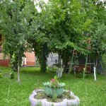 Kirayə (günlük) 3 otaqlı Həyət evi/villa Qəbələ 19