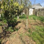 Satılır 5 otaqlı Həyət evi/villa, Zığ qəs., Suraxanı rayonu 1