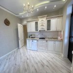 Kirayə (aylıq) 3 otaqlı Yeni Tikili, 28 May metrosu, Nəsimi rayonu 12
